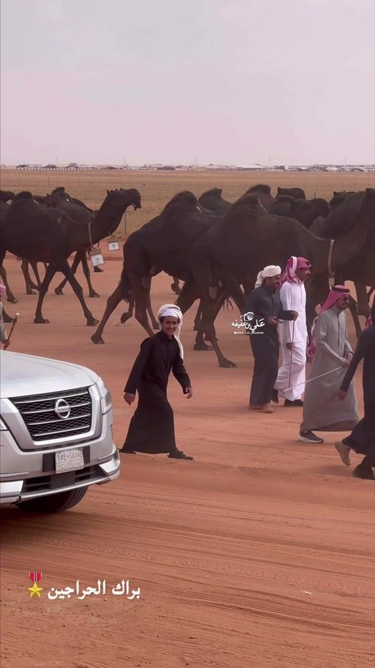 TikTok video thumbnail by al_majahem