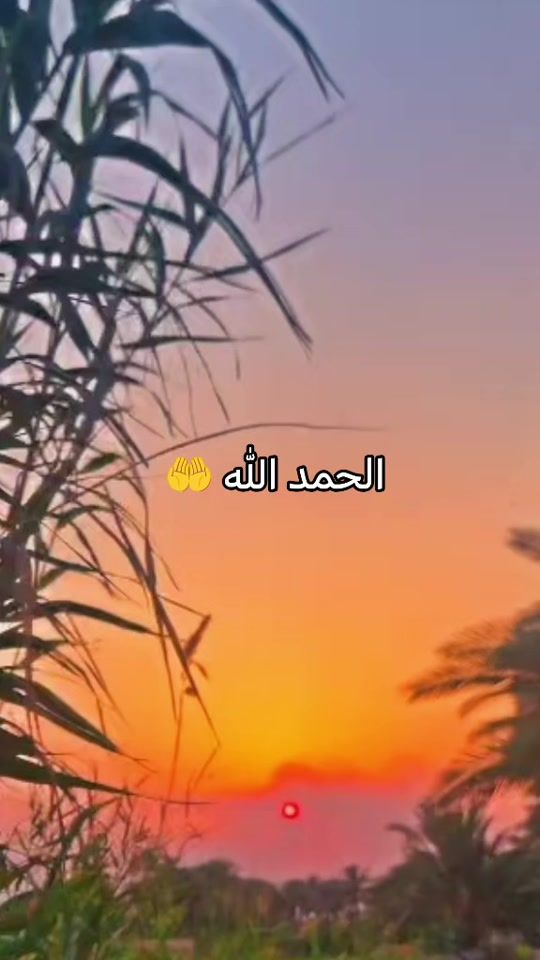 TikTok video thumbnail by user24838835