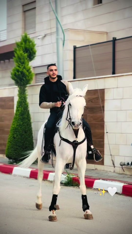TikTok video thumbnail by abed.alsadi29.6