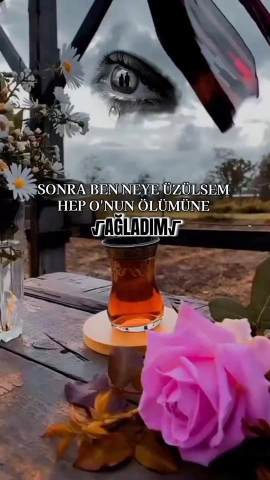 TikTok video thumbnail by _elif_gibi_