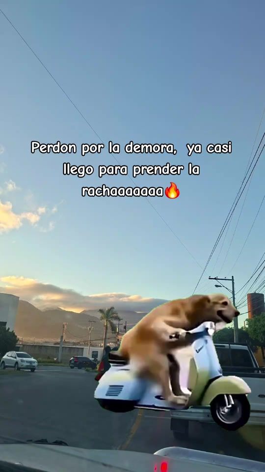 TikTok video thumbnail by .marvin_carrillo