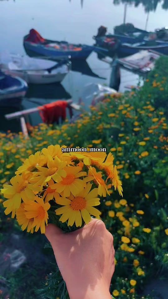 TikTok video thumbnail by ammoon_moon