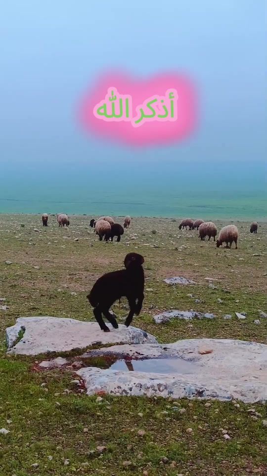 TikTok video thumbnail by matebalisa1