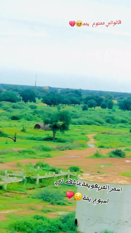 TikTok video thumbnail by .m154005