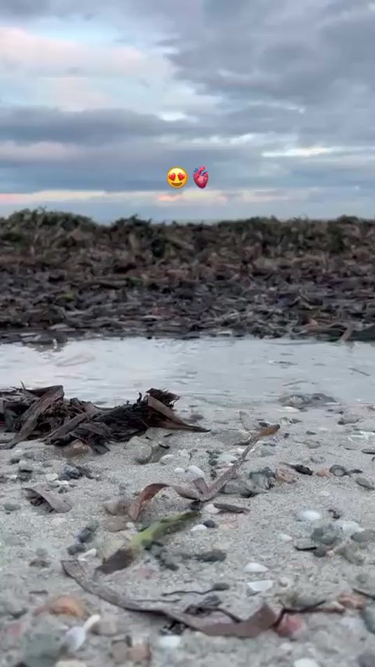 TikTok video thumbnail by anware_bouzouita