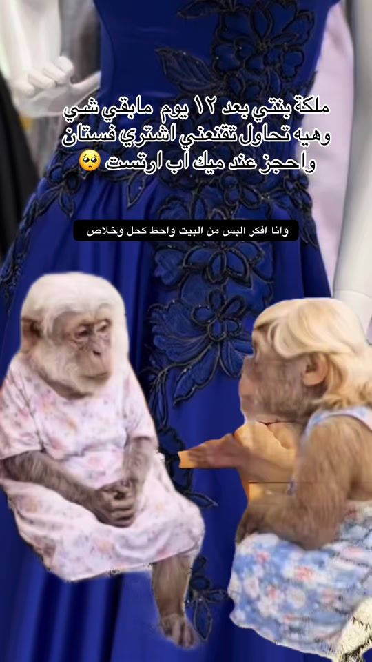 TikTok video thumbnail by sheraz746