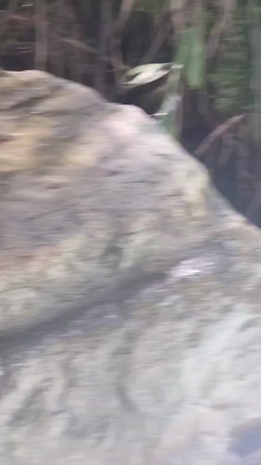 TikTok video thumbnail by 1afamoza