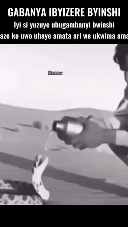 TikTok video thumbnail by emmy.98ntg