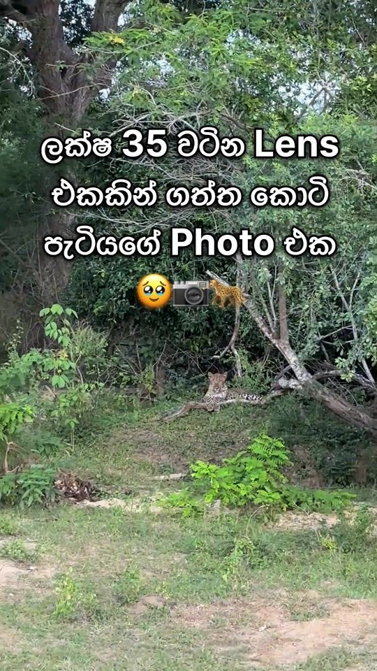 TikTok video thumbnail by ravisara.jayamanna