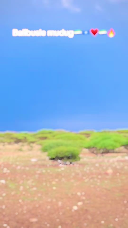 TikTok video thumbnail by ugaas_kaarshe