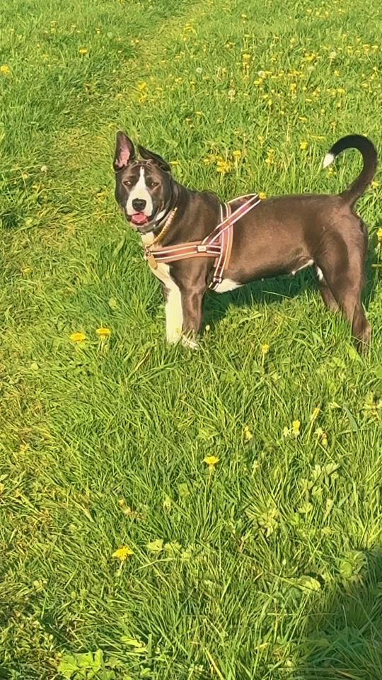 TikTok video thumbnail by staff.luna