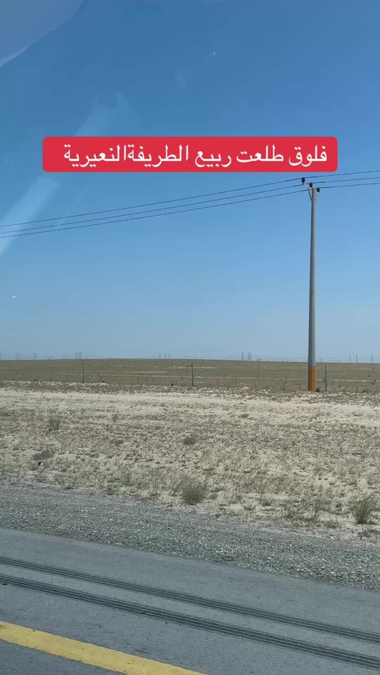TikTok video thumbnail by zynh3005
