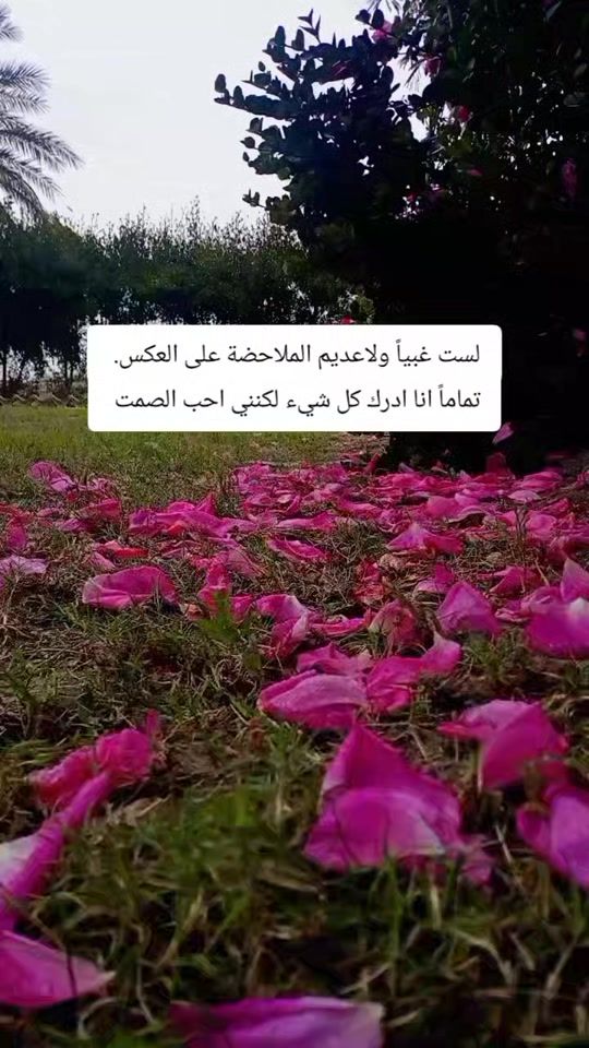 TikTok video thumbnail by p_13_1