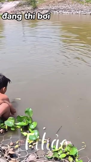 TikTok video thumbnail by tthao3316
