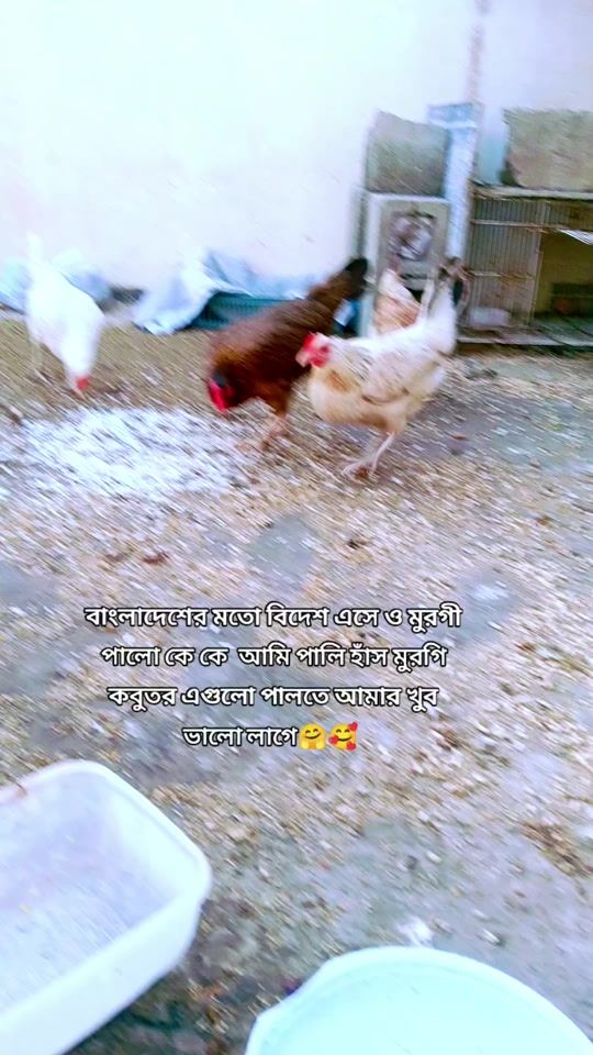 TikTok video thumbnail by tasnuba_islam1