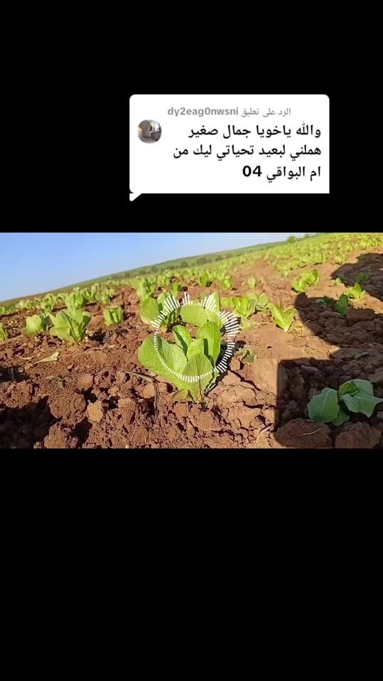 TikTok video thumbnail by ahmedmansouri44