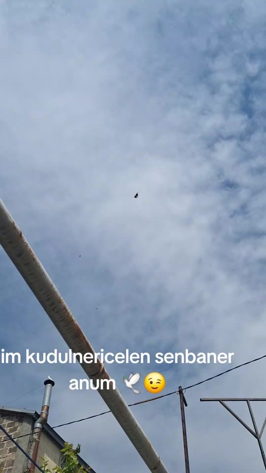 TikTok video thumbnail by bashkudulner
