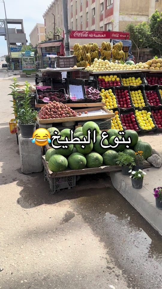 TikTok video thumbnail by som3a_som3a