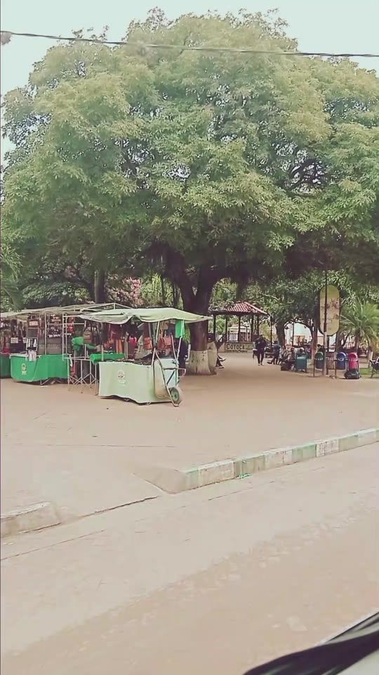 TikTok video thumbnail by tda_costa
