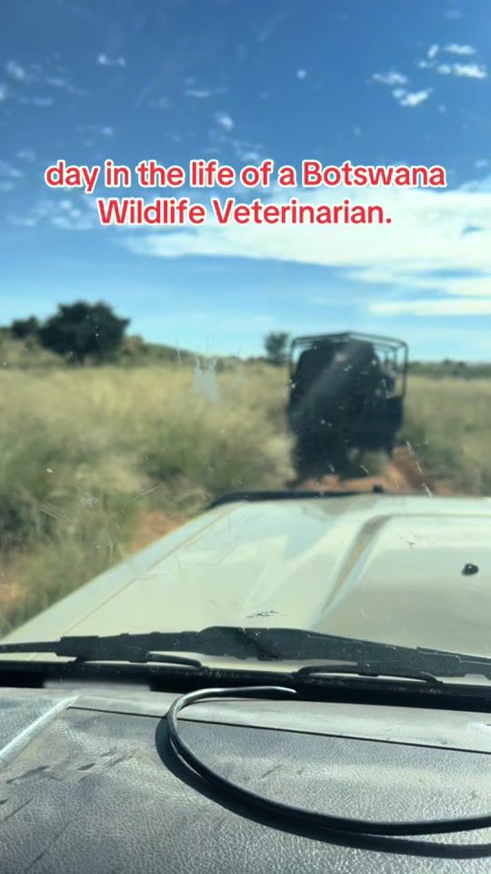 TikTok video thumbnail by atlegangfarms