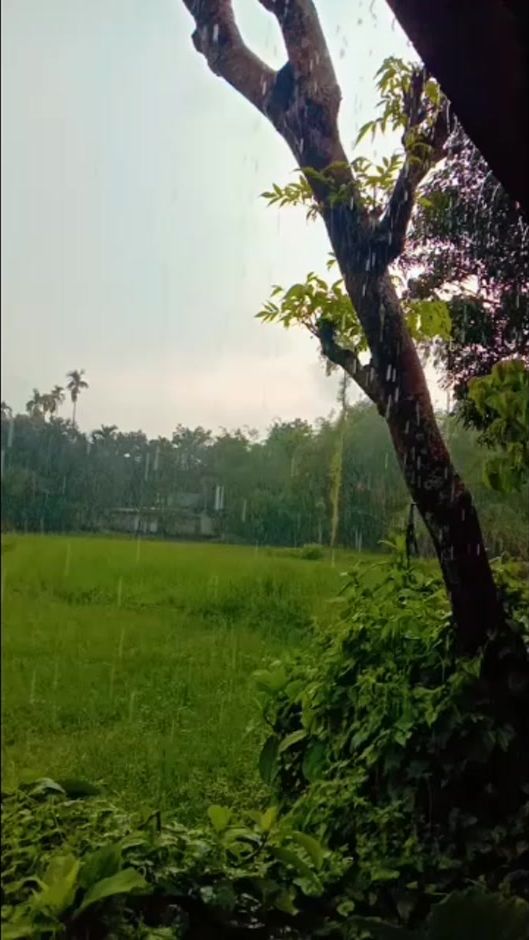 TikTok video thumbnail by limaakther135