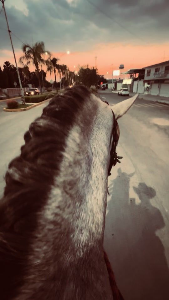 TikTok video thumbnail by juballlrivera