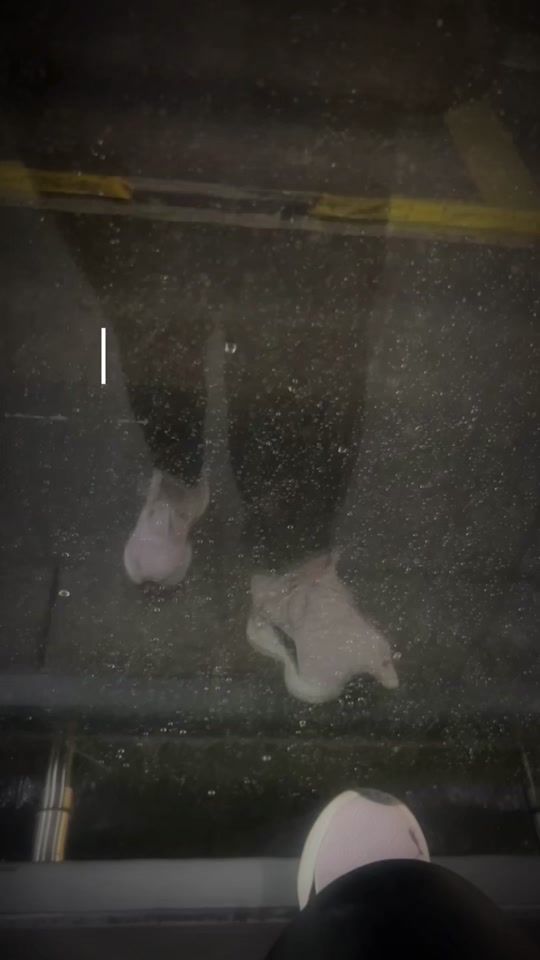 TikTok video thumbnail by ceciliaoctavo