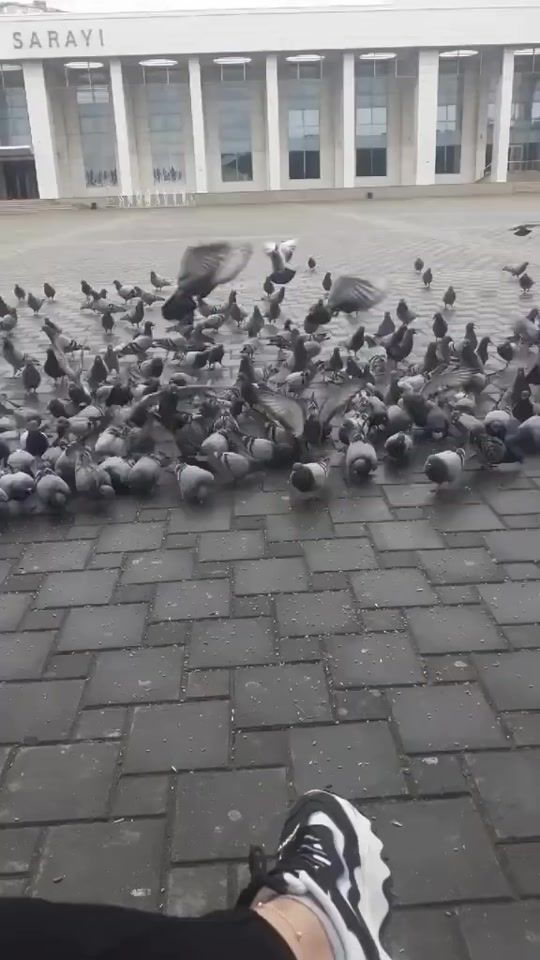 TikTok video thumbnail by __efsane_019