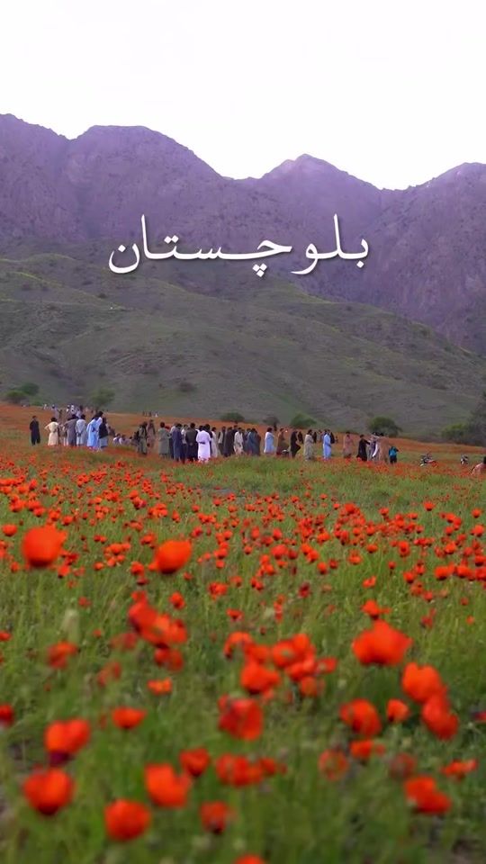 TikTok video thumbnail by .balochistan85