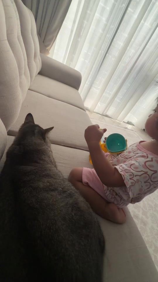 TikTok video thumbnail by kuchisikoceng