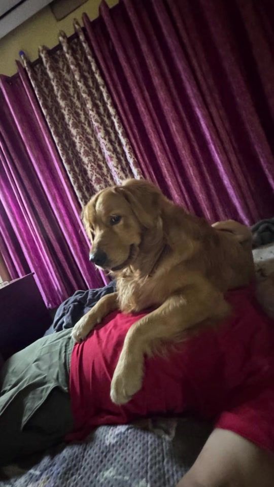 TikTok video thumbnail by manwithdogs2