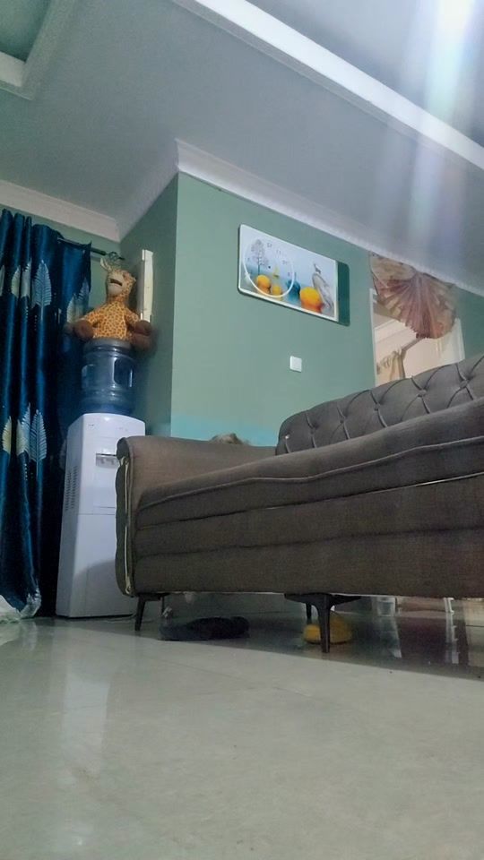 TikTok video thumbnail by aimetshiela31
