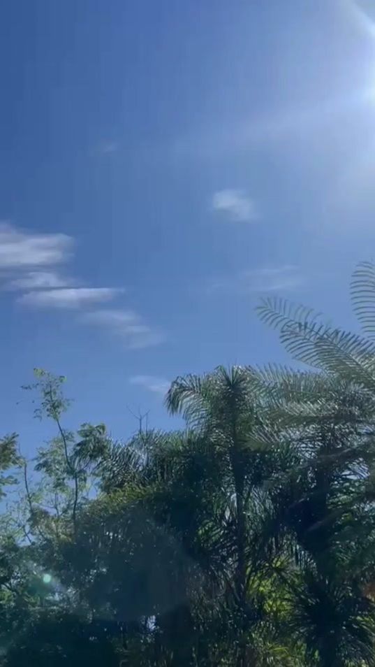 TikTok video thumbnail by rubyfofa1