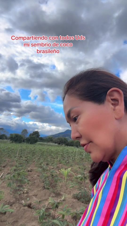 TikTok video thumbnail by rossmery.alvarez