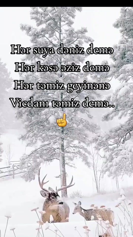 TikTok video thumbnail by zehra9679905jk4