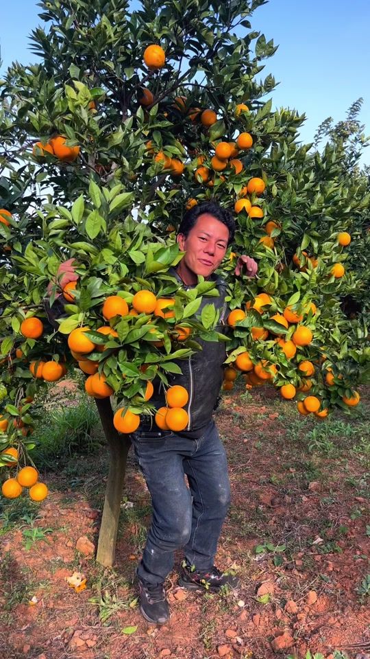 TikTok video thumbnail by bikramhayu5