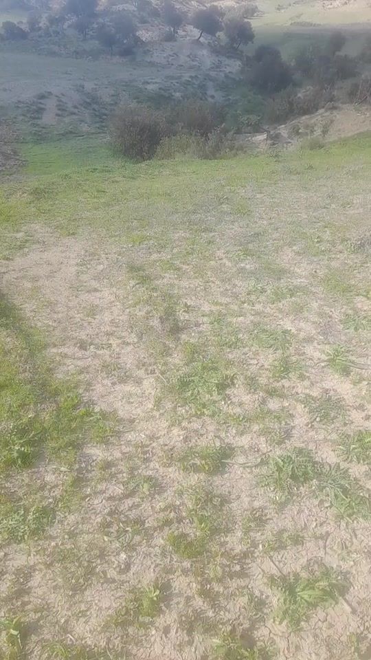TikTok video thumbnail by user965914225850