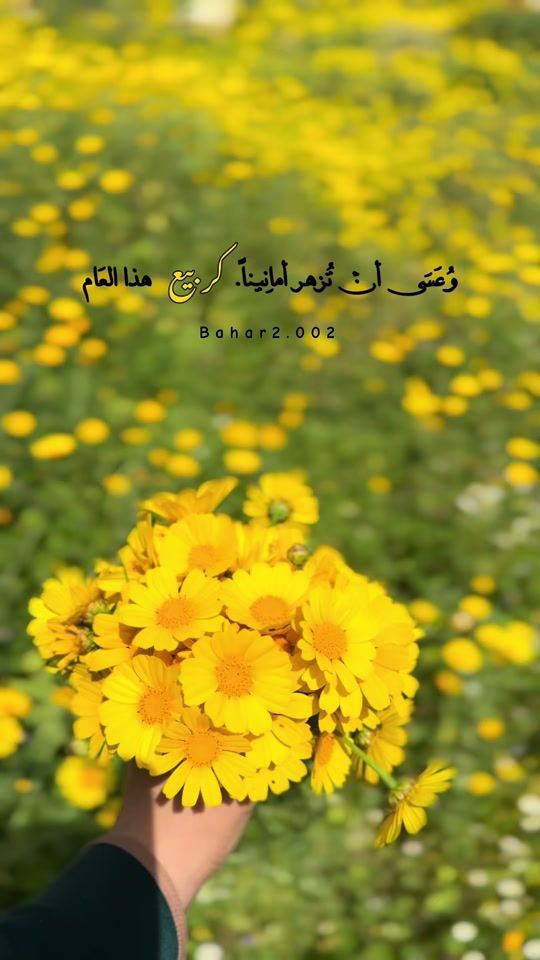 TikTok video thumbnail by bahar2.002