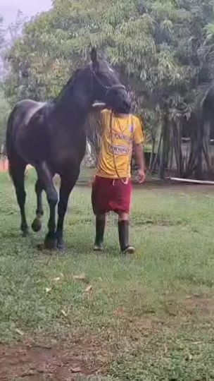 TikTok video thumbnail by brandon.m26