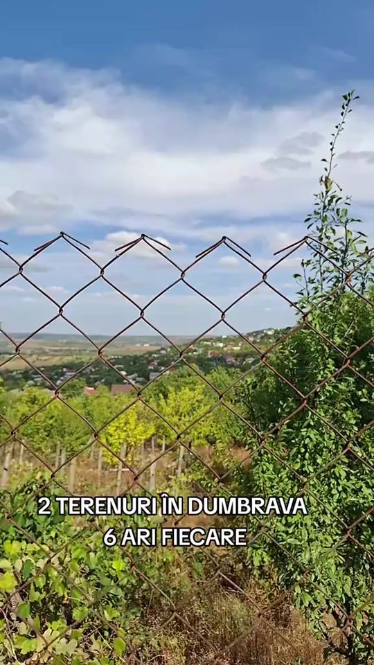 TikTok video thumbnail by irinacainareanu88