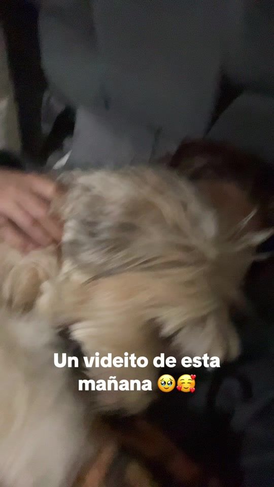 TikTok video thumbnail by tobyjose2