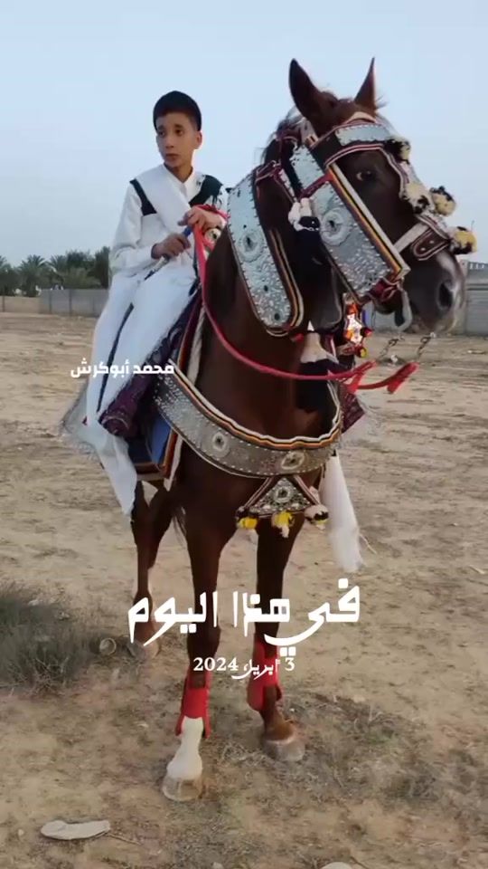 TikTok video thumbnail by libyahorses7