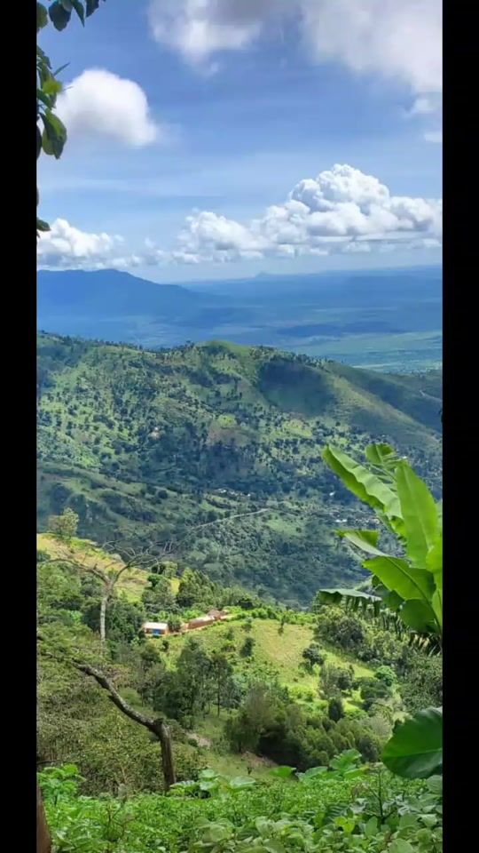 TikTok video thumbnail by mrssam083