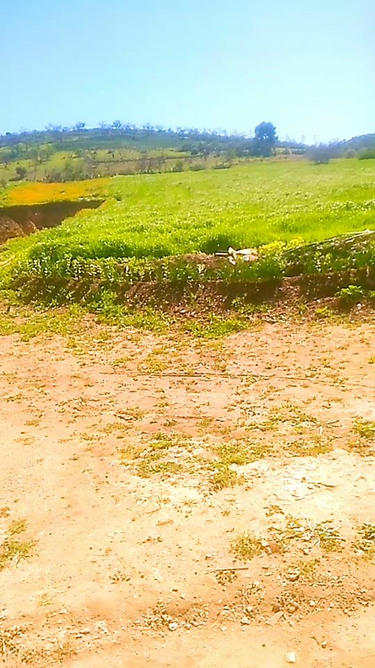 TikTok video thumbnail by user4495533856650