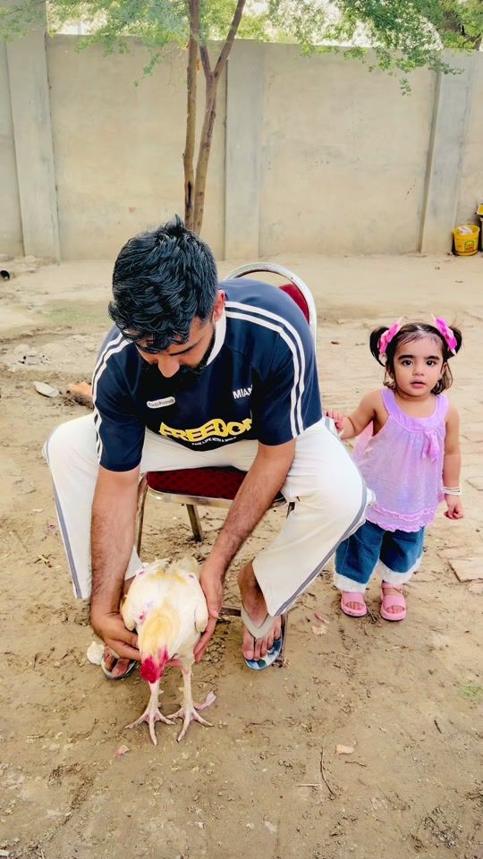TikTok video thumbnail by syed.usama741