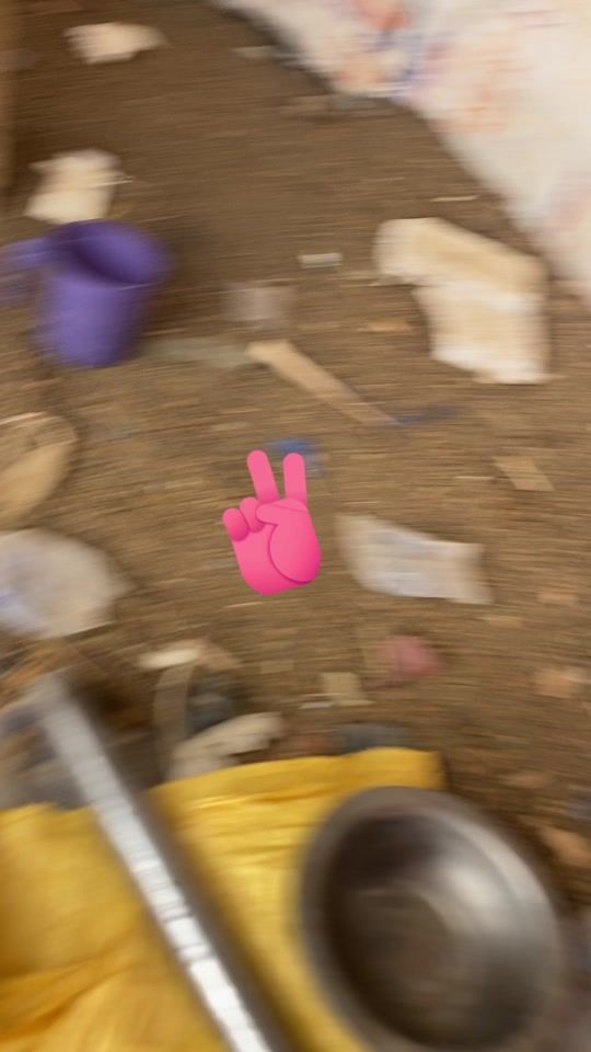 TikTok video thumbnail by user6286530026929