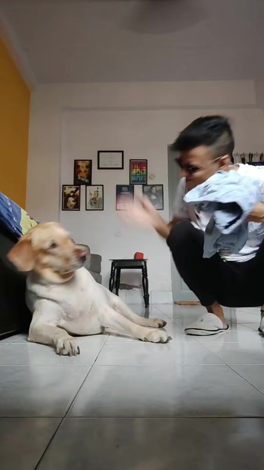 TikTok video thumbnail by prashant_sahu21