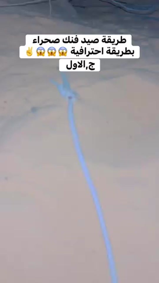 TikTok video thumbnail by nbkkhaled