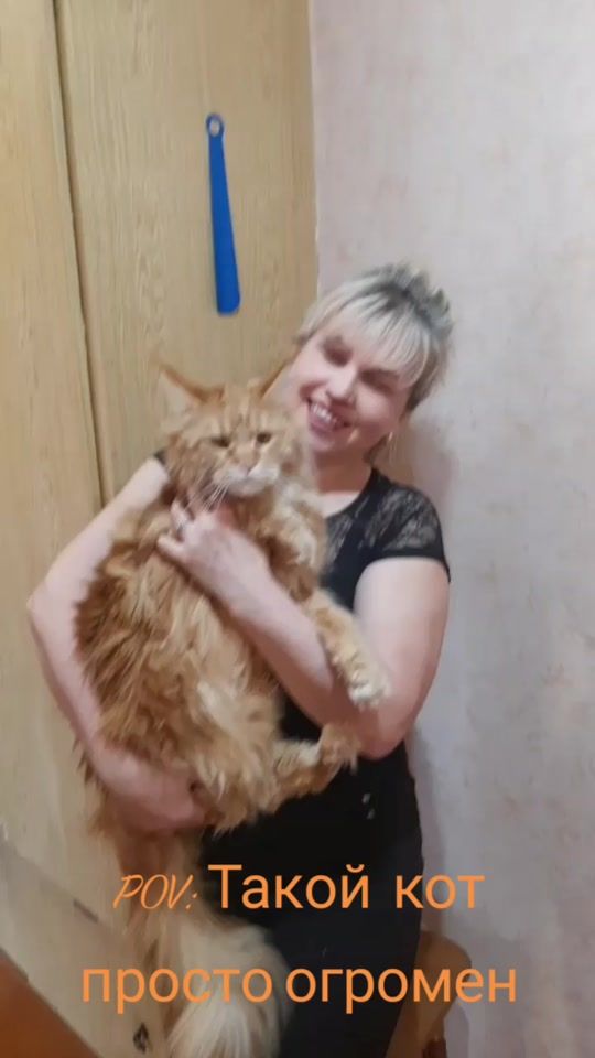 TikTok video thumbnail by svetlana.sots
