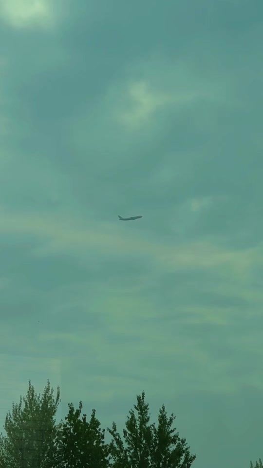 TikTok video thumbnail by spacycobra